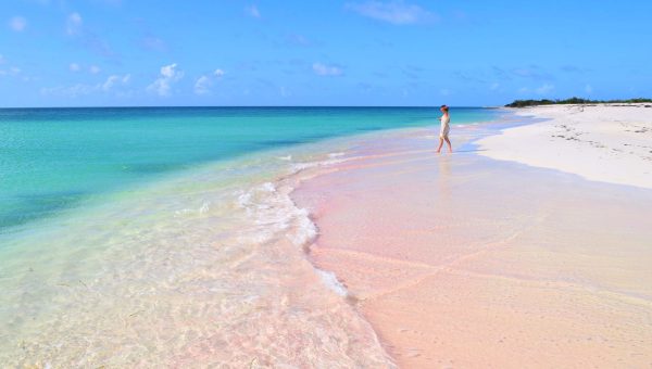 Barbuda Pink Sand - Cedar Tree Point - Pink Sand (1)